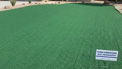 Fresh hydroseed coverage on prepared soil by Chop Chop Landscaping in Peoria, IL for new lawn growth