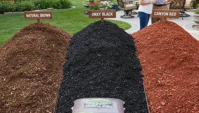 Premium brown, black, and red mulch variety display for landscaping in Peoria, IL by Chop Chop Landscaping