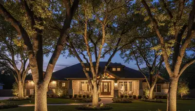 Tree uplighting at night by Chop Chop Landscaping in Peoria, IL highlighting professional landscape lighting